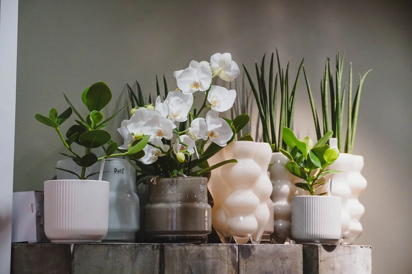 art floral